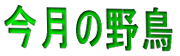 ̖쒹