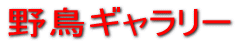 쒹M[