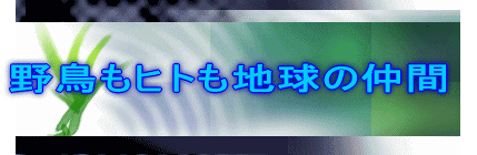 쒹qgn̒ 